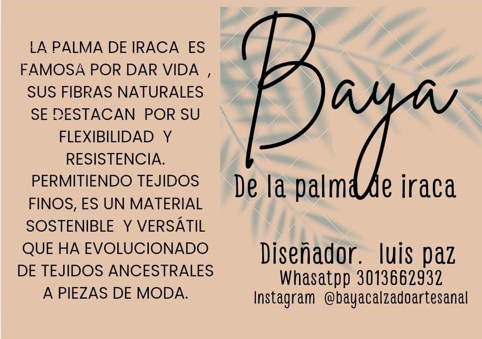 Taller de BAYA DE LAPALMA DE IRACA 
