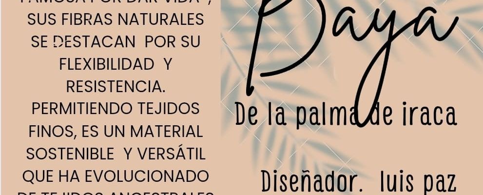 Portada de BAYA DE LAPALMA DE IRACA